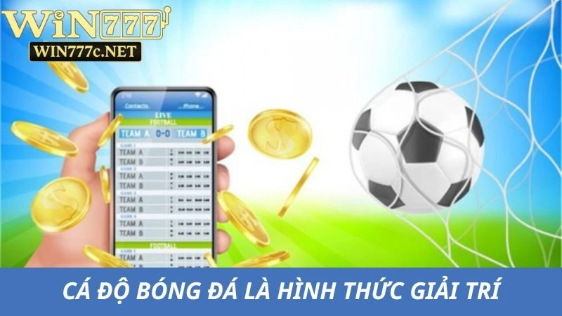 Cá độ bóng đá là hình thức giải trí phổ biến