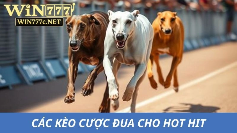 Một số hình thức chơi phổ biến tại nhà cái