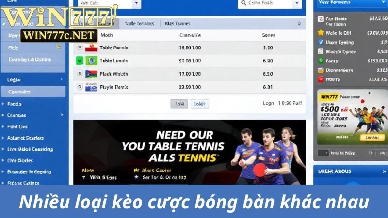 Có nhiều loại kèo cá cược bóng bàn khác nhau