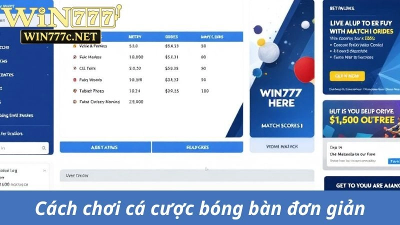 Cách chơi cá cược bóng bàn tại nhà cái đơn giản