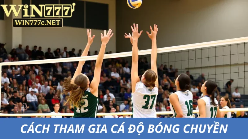 Các bước tham gia cá độ môn bóng chuyền nhanh chóng