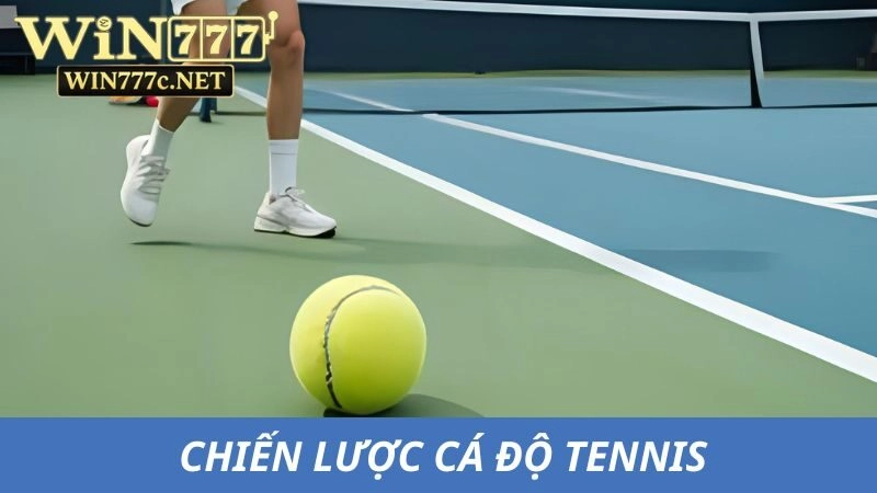 Các chiến lược cá độ tennis hay nhất dành cho người mới bắt đầu