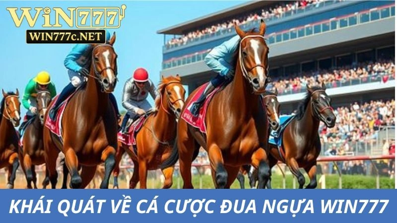 Thông tin cơ bản về cá cược đua ngựa tại Win777