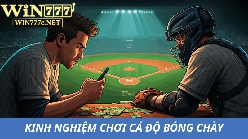 Học hỏi kinh nghiệm chơi cá độ bóng chày hiệu quả