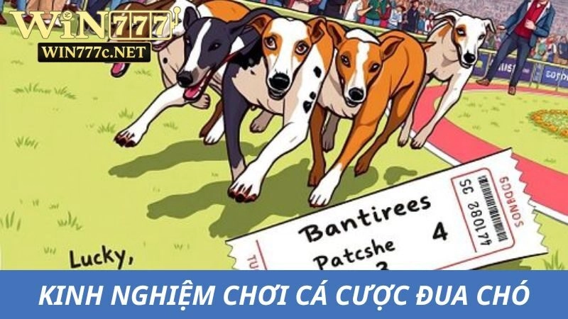 Các bí kíp vàng khi tham gia