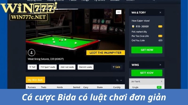 Luật cược Bida đơn giản cần nắm rõ trước khi chơi