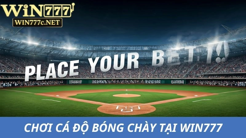 Cách chơi cá độ bóng chày tại Win777 đơn giản