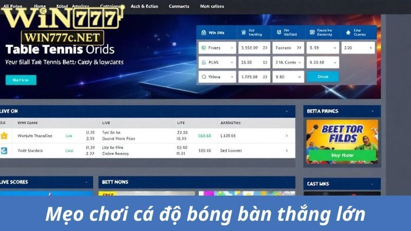 Mẹo chơi cá độ bóng bàn thắng lớn