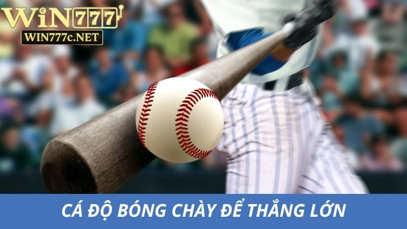 Cá độ bóng chày mang lại cơ hội thắng lớn