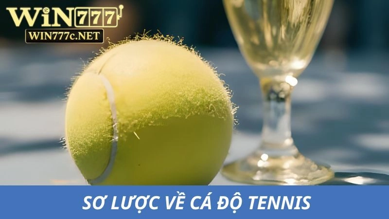 Một số thông tin sơ lược về cá độ tennis