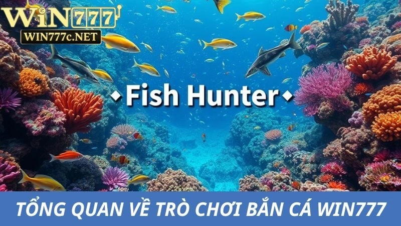 Thông tin cơ bản về trò chơi Bắn Cá Win777