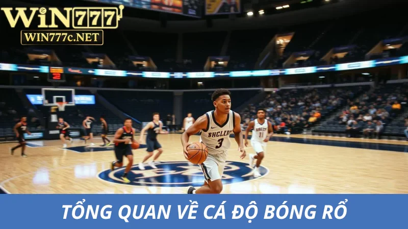 Khái quát thông tin về cá độ bóng rổ online